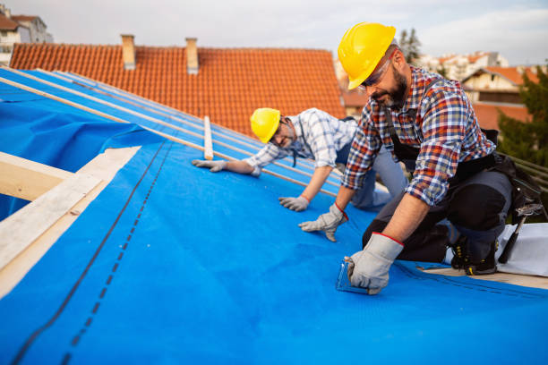 Best Flat Roof Repair Services  in Gardner, KS